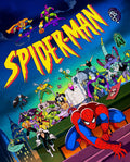 Spider-Man 1994 The Complete DVD Series!