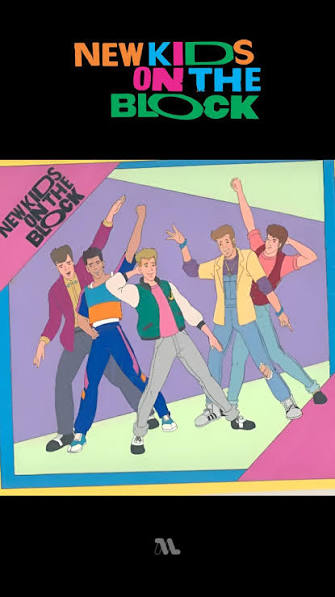 New Kids On The Block Complete DVD Series!
